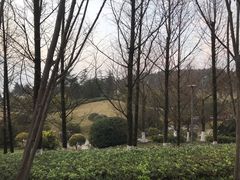 -铁山坪森林公园