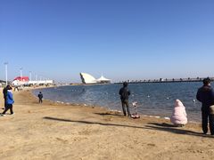 -碧海金沙