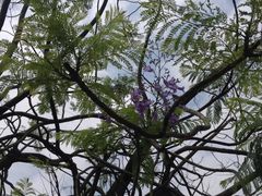 -南国桃园旅游度假区