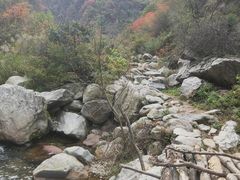 -终南山国家森林公园