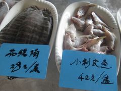 -海中洲渔社
