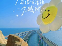 -星海湾跨海大桥