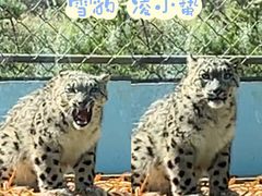 -青藏高原野生动物园