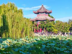 -济南大明湖景区