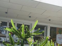 -ommo cafe(半岛城邦店)