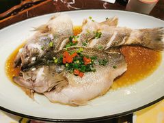 葱油鲈鱼-新白鹿餐厅(爱琴海购物中心店)