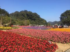 -广州市石门国家森林公园