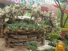 -花之城