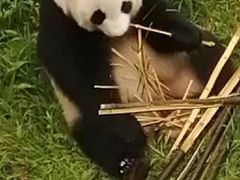 -沈阳森林动物园