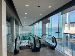 -海港城