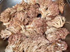 野生菌-翕庐小苑