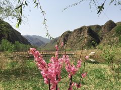 -野鸭湖国家湿地公园