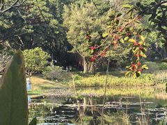 -云溪植物园