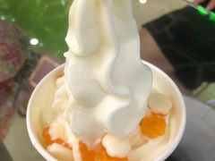 冻酸奶-Salud撒露欧洲冻酸奶(北苑上品店)
