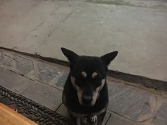 -仁和人家