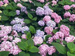 -常州古运河南大街文化旅游区-人民公园