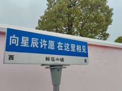 -南通鲜花小镇