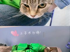 -瑞派福兴宠物医院犬猫全科·骨科·中西医结合(河东店)