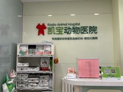 -悦宠凯宝动物医院·牙科·皮肤科(朝阳北路店)