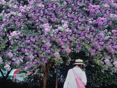 -杭州城北体育公园