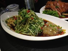 拉皮-金掌勺东北菜(格兰晴天店)