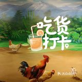 蜈支洲岛后海侬仔椰子鸡
