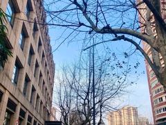 -阿婆油墩子(五里桥路188弄小区店)