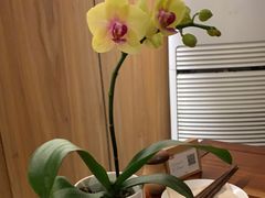 -七色云蔬食(喜邻里店)