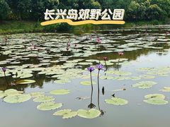 -上海长兴岛郊野公园