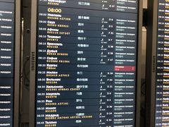 -谢列梅捷沃国际机场