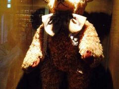 -济州岛泰迪熊博物馆