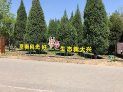 -大兴滨河森林公园