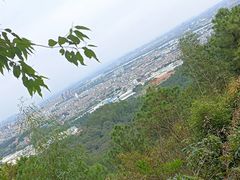 -滴水岩森林公园