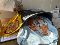 -美联众合动物医院·24h京西诊疗中心