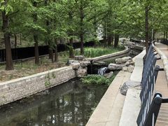 -白水寺森林公园