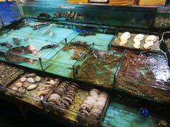 -渔人码头(洛溪店)