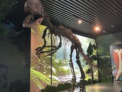 -四川宋瓷博物馆