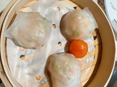 -点都德·毕德寮