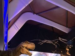 -贝林大翅鲸简餐厅(国家海洋博物馆店)