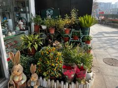 -FEI FEI FLOWER鲜花店·气球派对·宝宝宴布置(虹口德必运动Loft店)