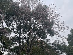 -上海吴淞炮台湾国家湿地公园