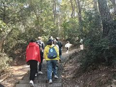 -十里琅珰