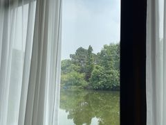-张鸟园农家乐(张鸟园店)