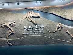 -柳州白莲洞洞穴科学博物馆