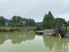 -铁山坪森林公园