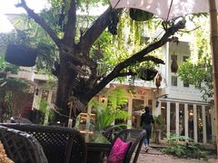 -Fern Forest Cafe