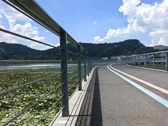 -鸣鹤古镇