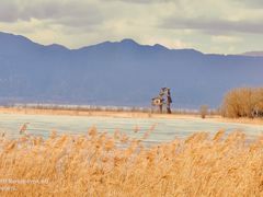 -野鸭湖国家湿地公园