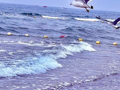 -那香海钻石沙滩浴场