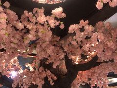 -渝厨生态火锅(合川区府店)